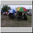 101_QUELS_BEAUX_PARAPLUIE.jpg